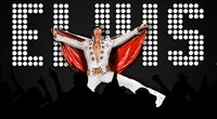 Elvis Hintergrund 4